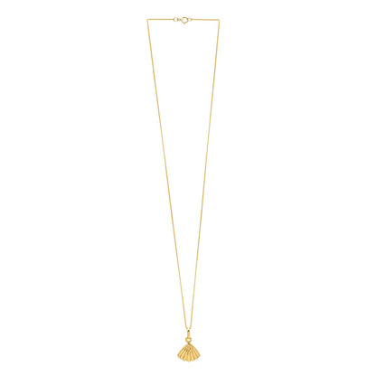 Sea Shell Necklace in 10K Yellow Gold
